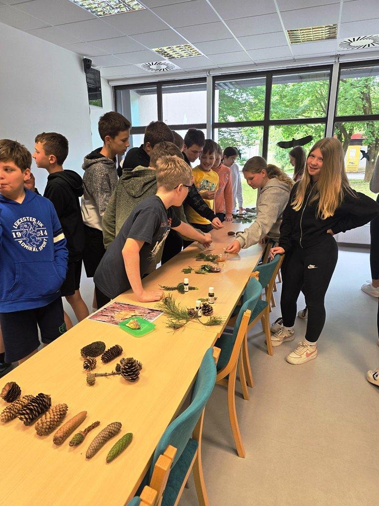 OS-Deskle-Dina-center-Pivka-Smrekomaz